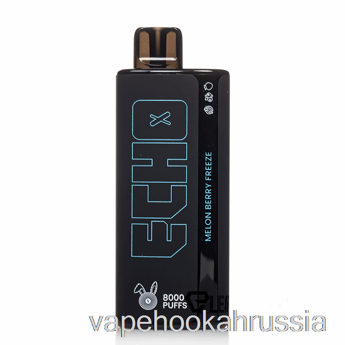 Vape Juice Echo 8000 одноразовая заморозка ягод дыни